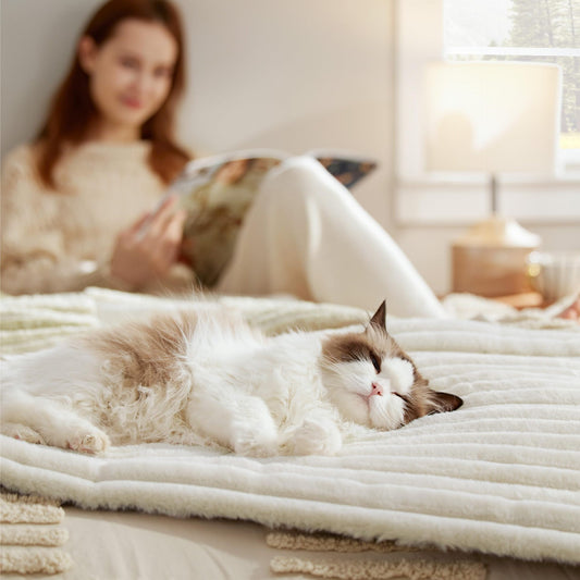 AuraNest Self Warming Pet Bed